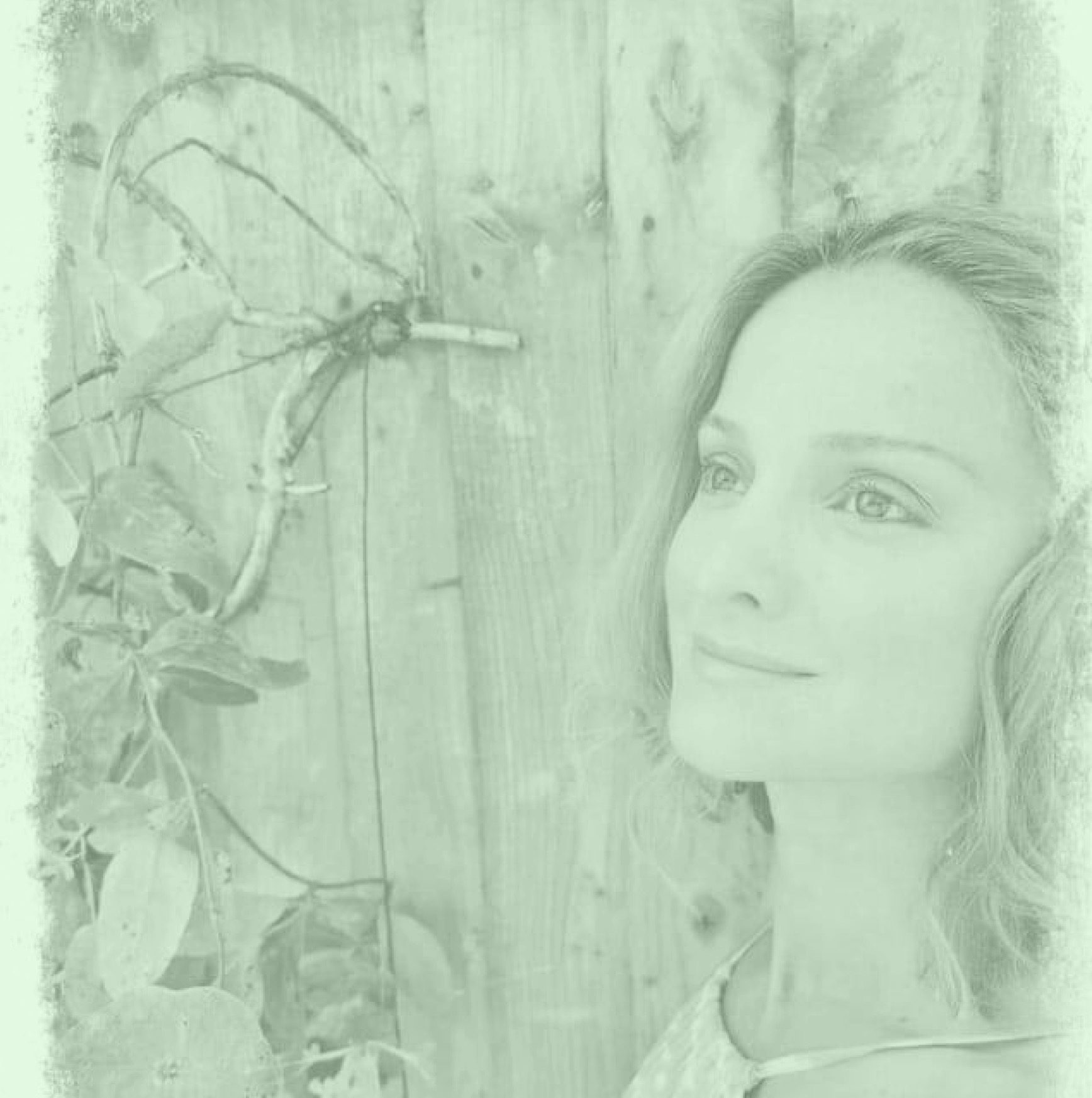 Simona green lighter