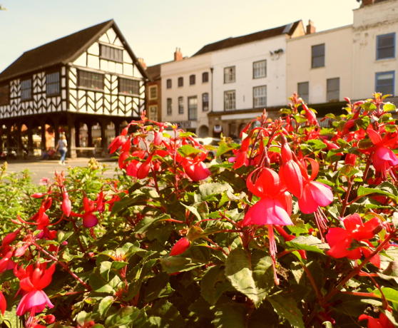 Ledbury centre optimised