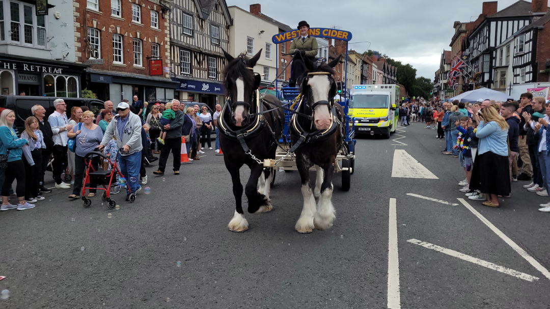 Shire horses 2 optimised