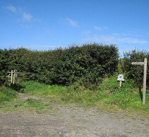 A%20trip%20to%20the%20beach_Start%20of%20the%20path