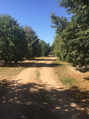 Les%20fourneaux_gen1